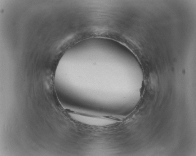 X0000066121349200603171743