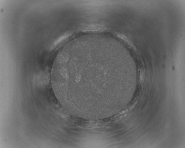 X0000066121350200603171743