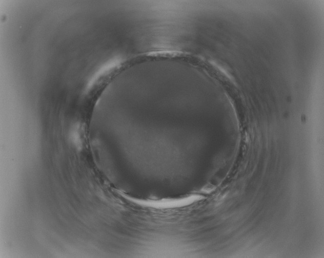 X0000066121351200603171743