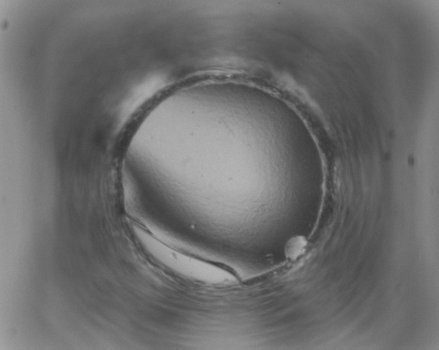 X0000066121352200603171743