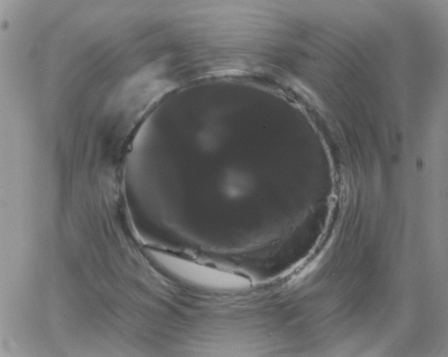 X0000066121353200603171743