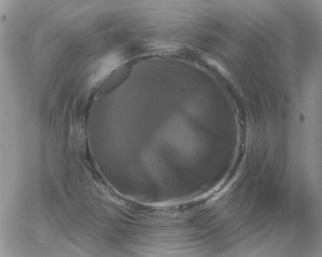 X0000066121354200603171743