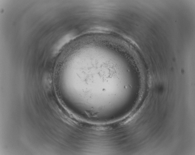 X0000066121355200603171743