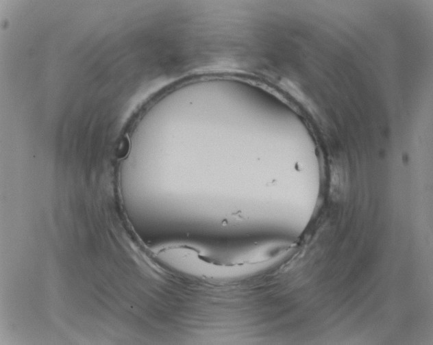 X0000066121356200603171743