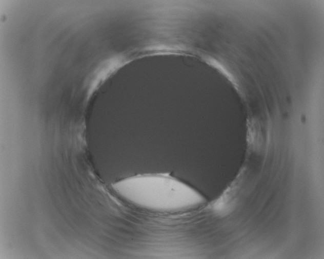 X0000066121357200603171743