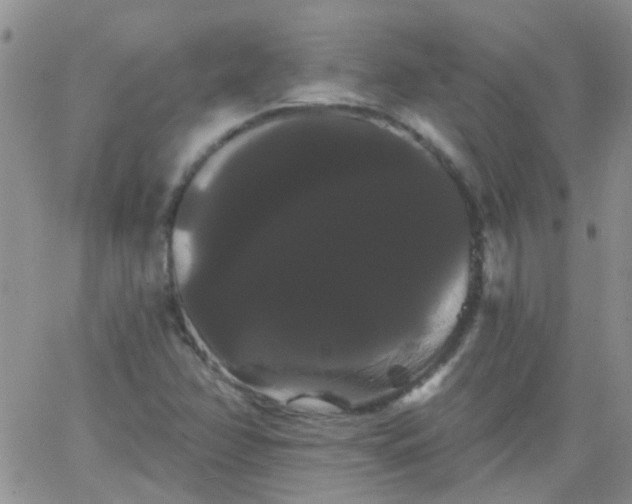 X0000066121358200603171743