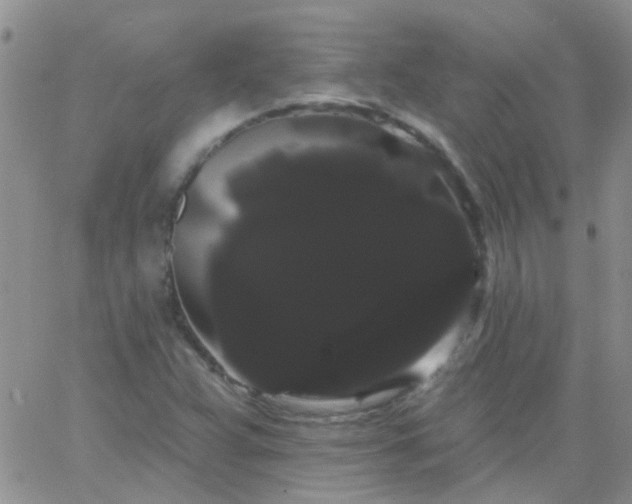 X0000066121359200603171743