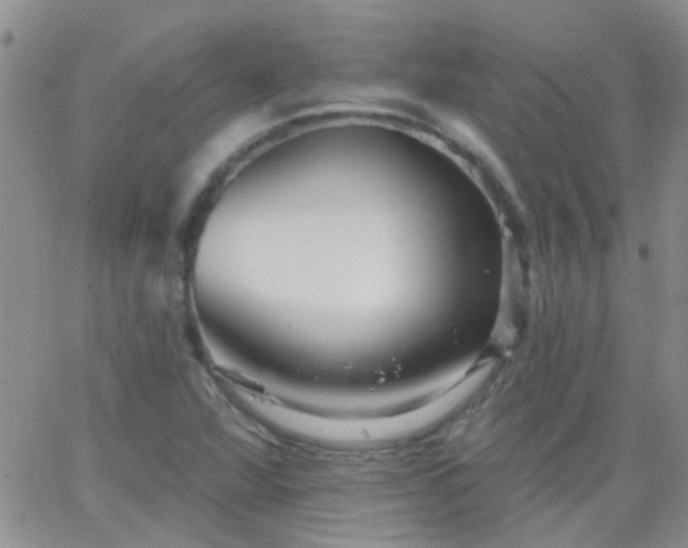 X0000066121360200603171743