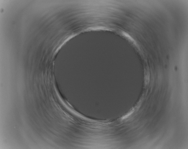 X0000066121361200603171743