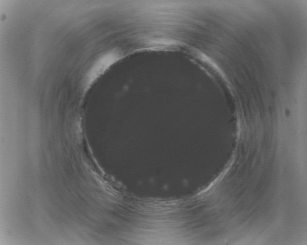 X0000066121362200603171743