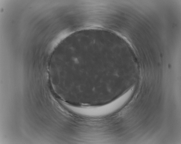 X0000066121363200603171743