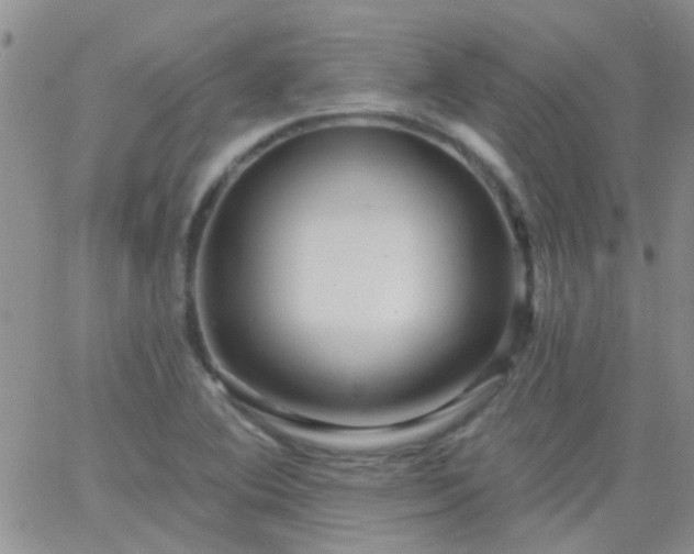 X0000066121364200603171743