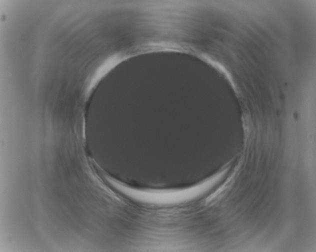 X0000066121365200603171743