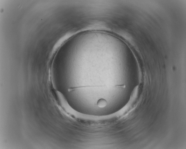 X0000066121366200603171743