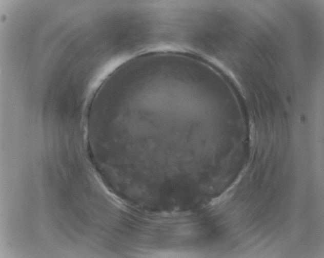 X0000066121367200603171743