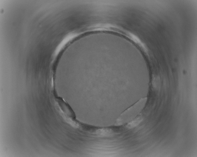 X0000066121368200603171743