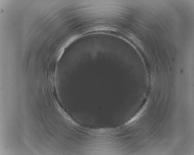 X0000066121369200603171743