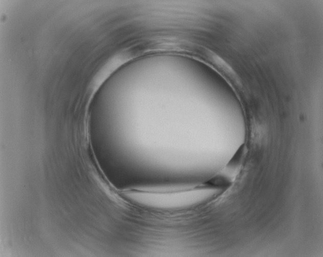 X0000066121370200603171743