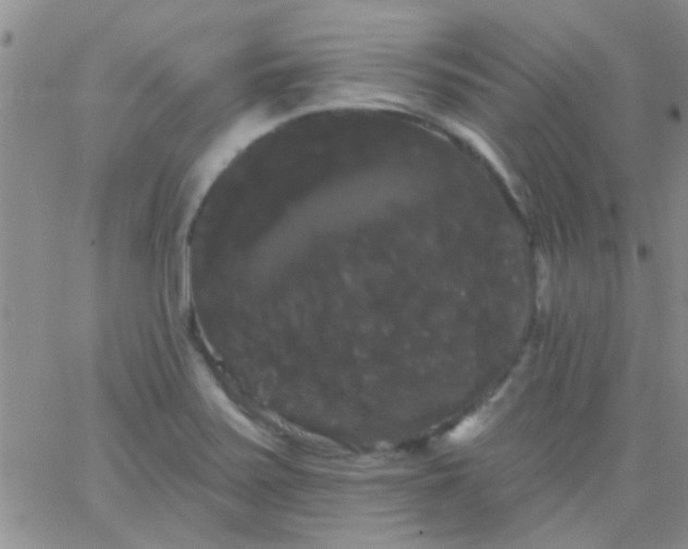 X0000066121371200603171743