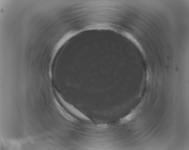 X0000066121372200603171743