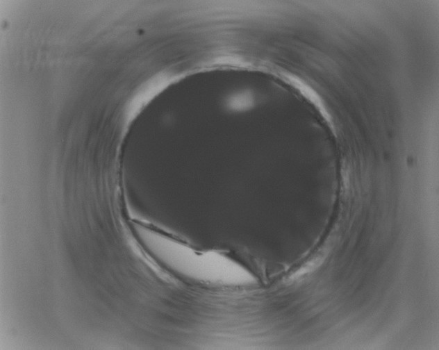 X0000066121373200603171743