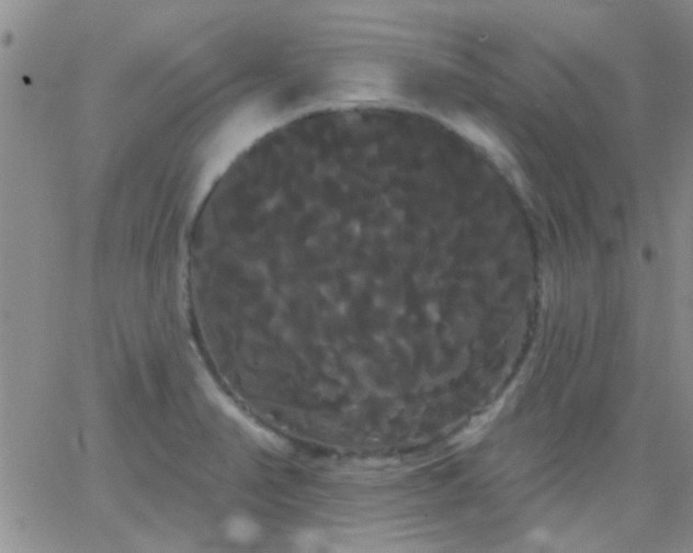 X0000066121374200603171743