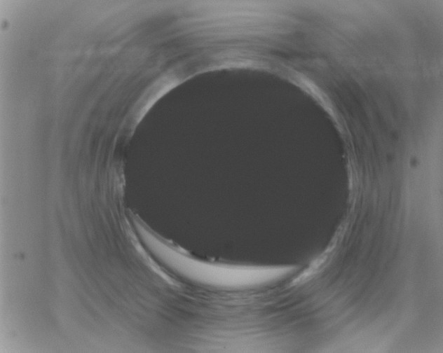 X0000066121377200603171743