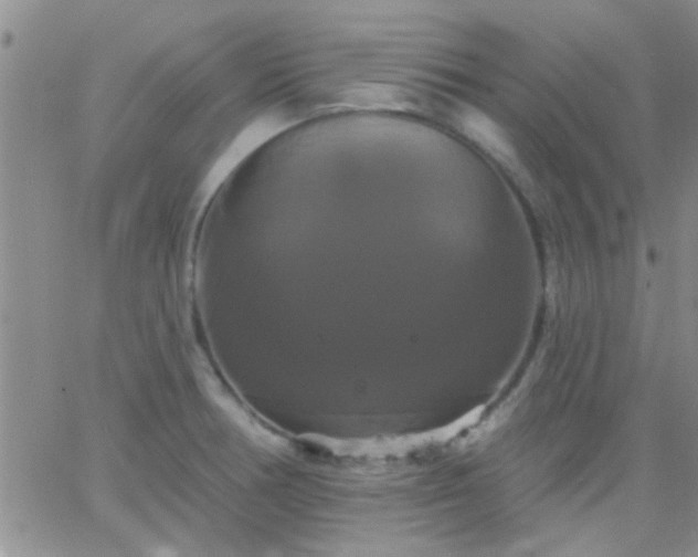 X0000066121378200603171743