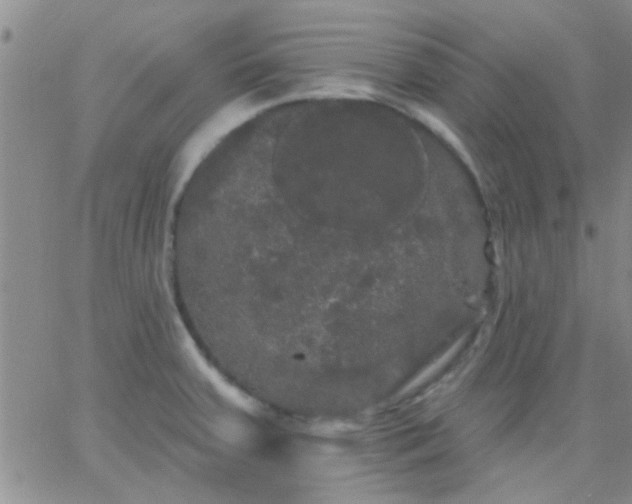 X0000066121379200603171743