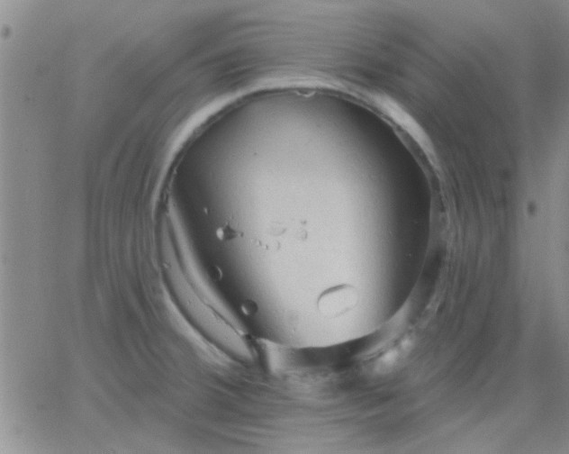 X0000066121380200603171743