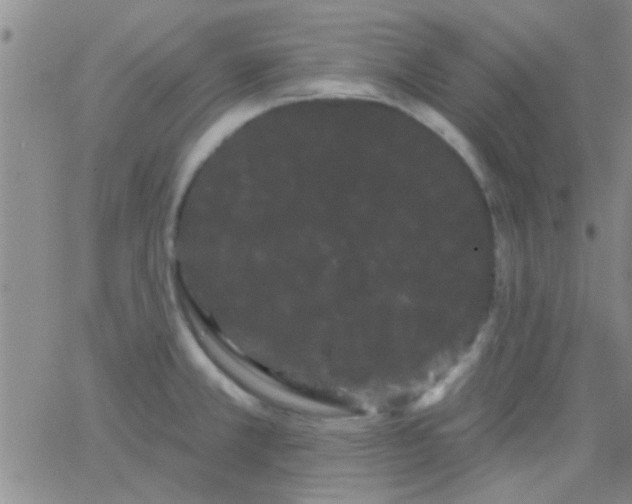 X0000066121381200603171743