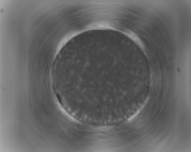 X0000066121382200603171743