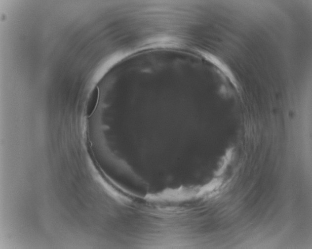 X0000066121383200603171743