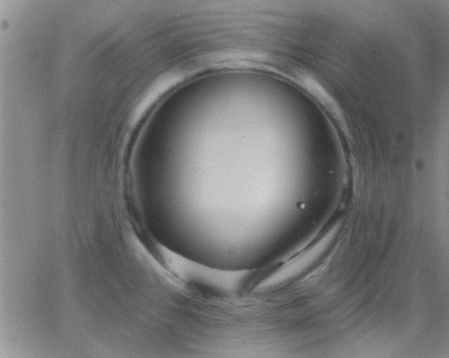 X0000066121384200603171743