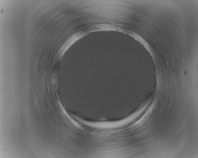 X0000066121385200603171743