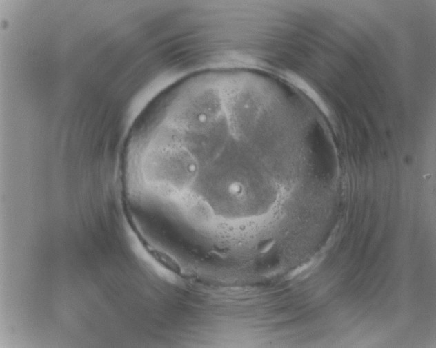 X0000066121387200603171743