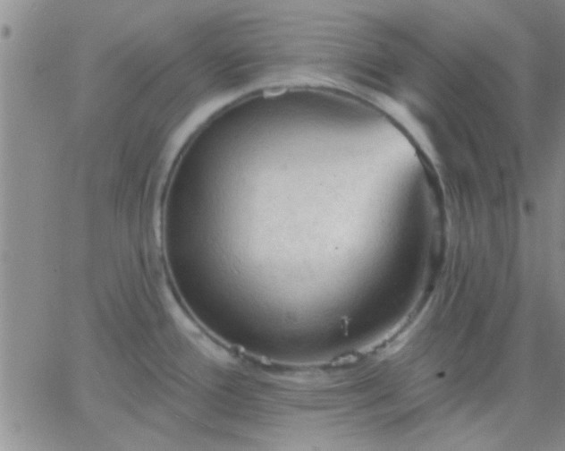 X0000066121388200603171743