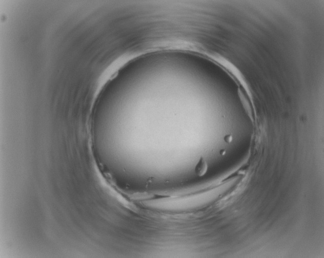 X0000066121389200603171743