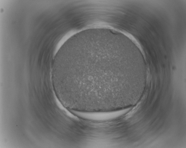 X0000066121390200603171743