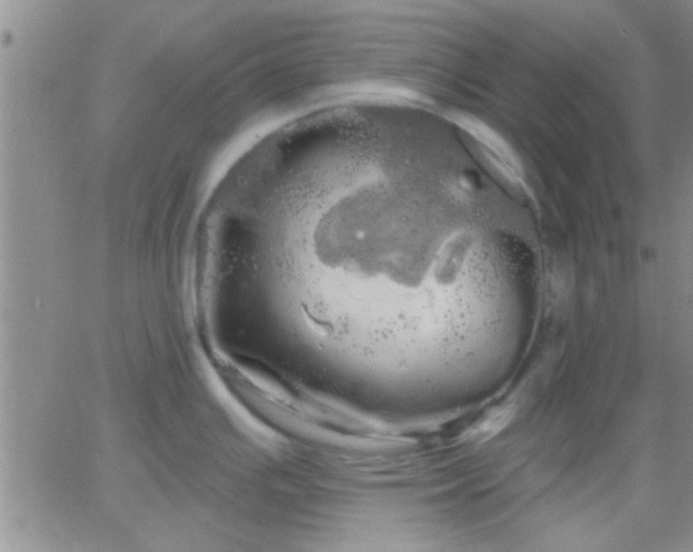 X0000066121391200603171743