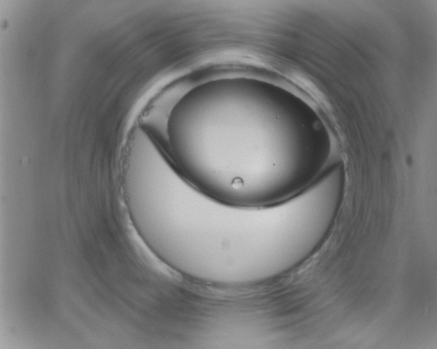 X0000066121392200603171743