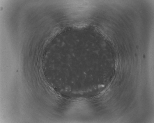 X0000066121393200603171742