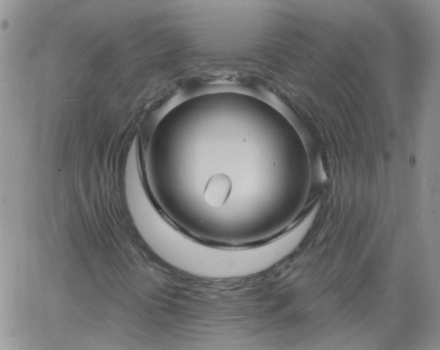 X0000066121394200603171742