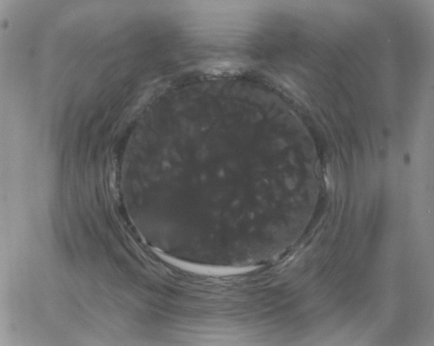 X0000066121396200603171742