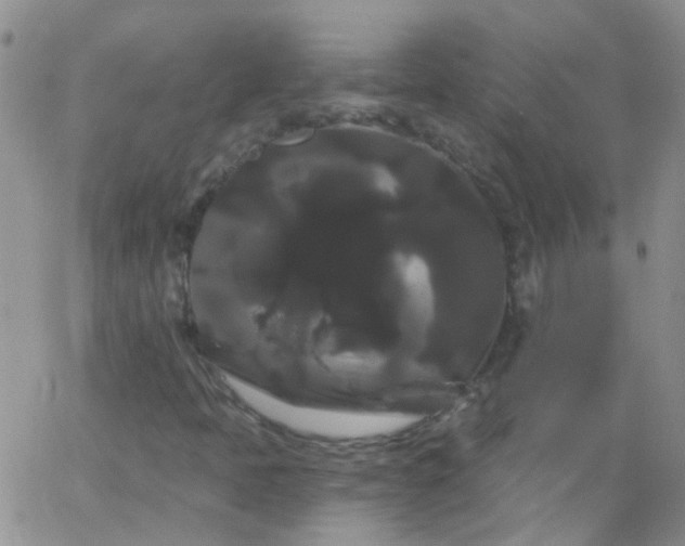 X0000066121397200603171742