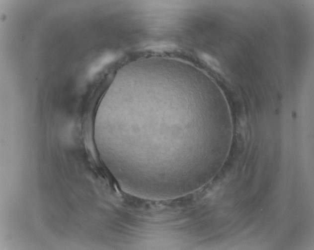 X0000066121398200603171742