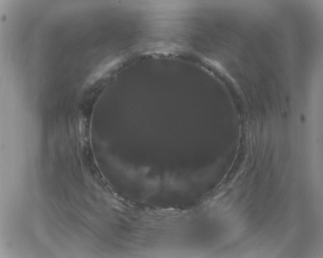 X0000066121399200603171742