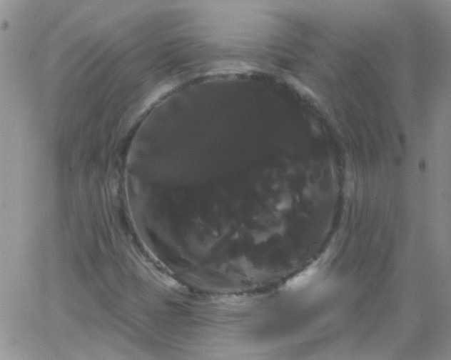 X0000066121401200603171742