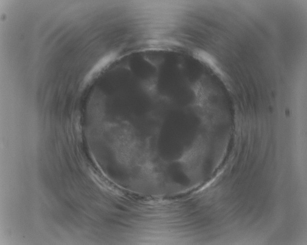 X0000066121403200603171742