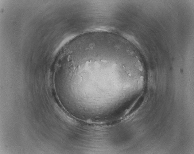 X0000066121404200603171742